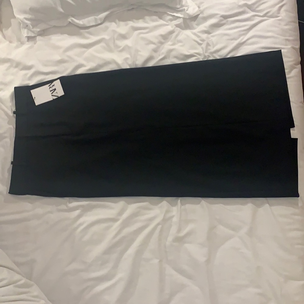 ZARA Skirt